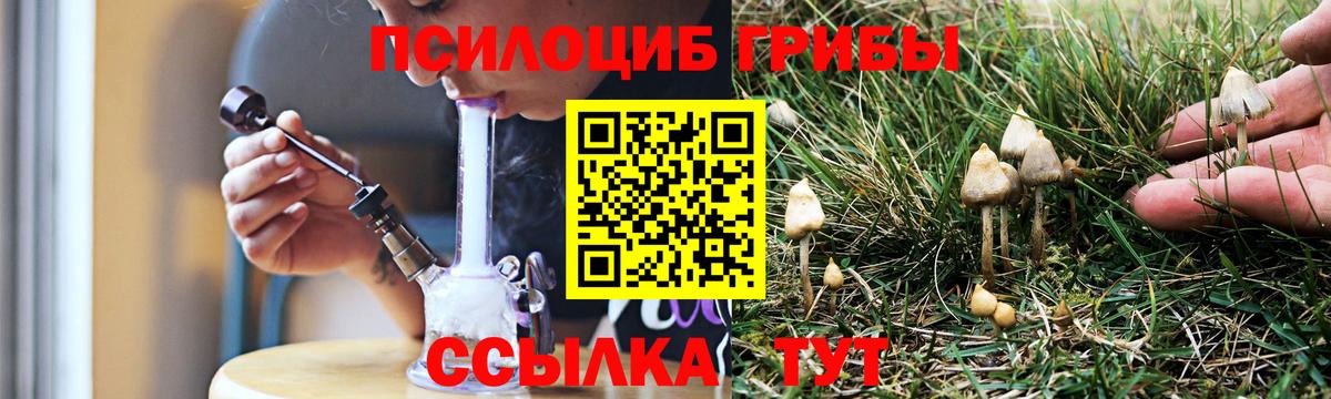 Шелехов  Псилоцибиновые грибы прущие грибы  Вход с VPN 