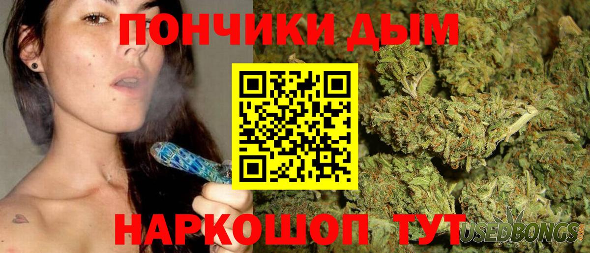 Шишки марихуана сатива Шелехов